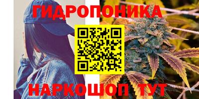 apvp Кимры
