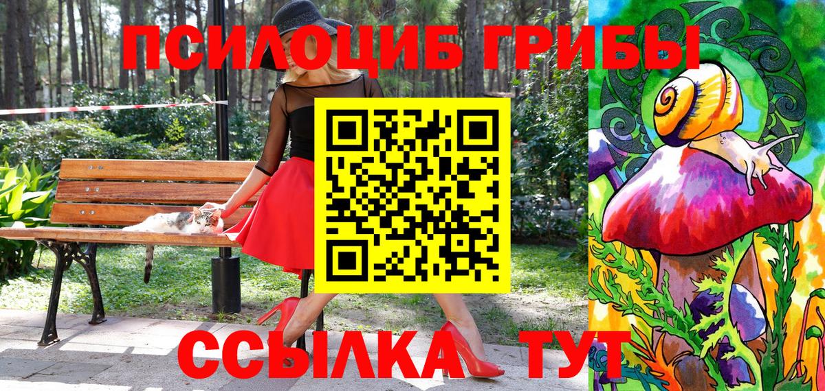 Псилоцибиновые грибы GOLDEN TEACHER  Вход с VPN  купить наркотики цена  Королёв 